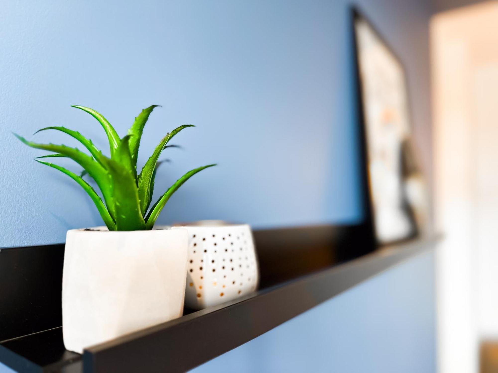 4 Bdr 2 Bth Netflix Panorama Views Apartment Sofia Ngoại thất bức ảnh